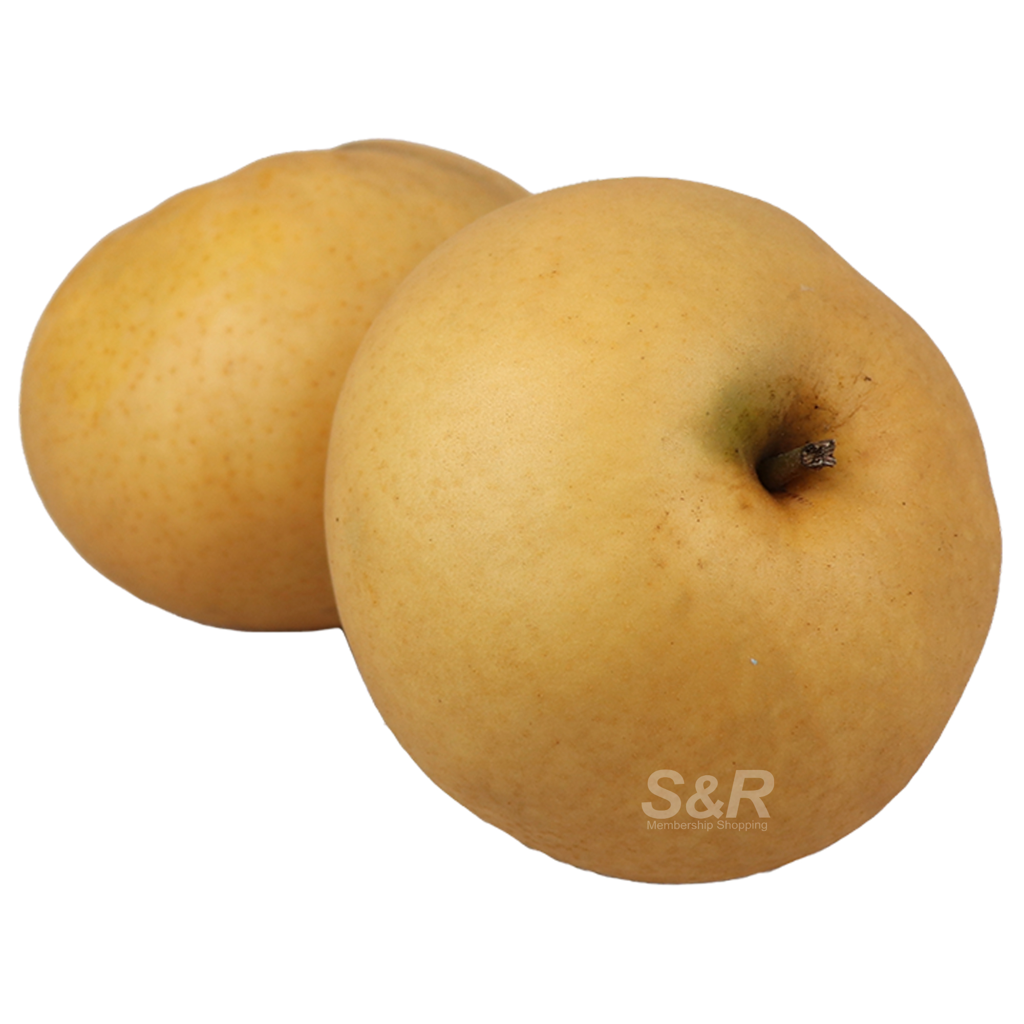 Korean Autumn Pears #8 2pcs Korean Autumn Pears #8 2pcs